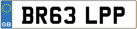 Truck License Plate